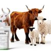 Levamisole Hydrochloride Drench Powder Livestock Health-4
