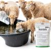 Levamisole Hydrochloride Drench Powder Livestock Health-3