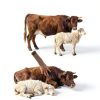 Levamisole Hydrochloride Drench Powder Livestock Health-2