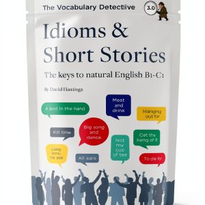 Vocabulary Detective Kindle eBook by DMH Press-0